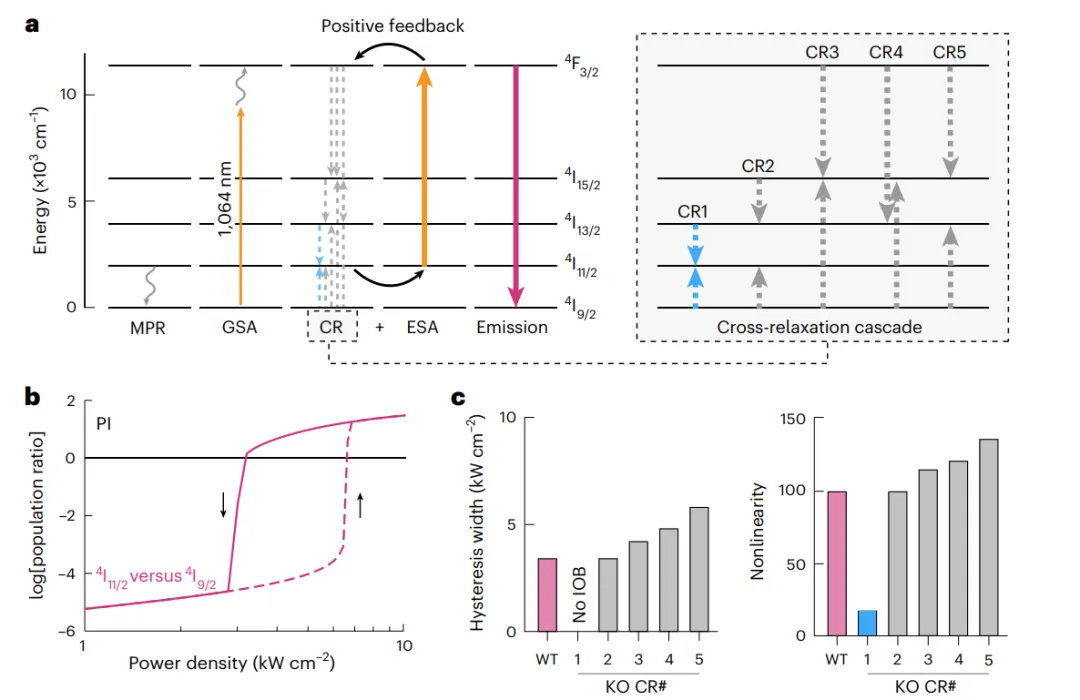 雪崩納米粒子ANPs中的本征光學(xué)雙穩態(tài)IOB模型。