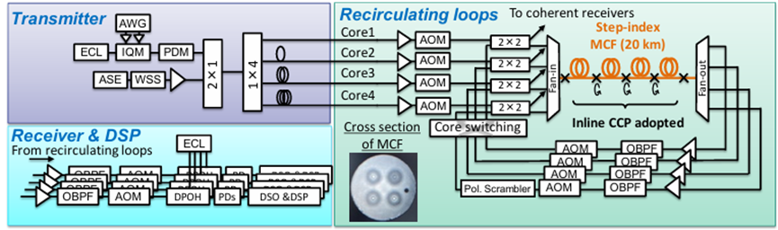 2×2聲光光開(kāi)關(guān) 多芯光纖循環(huán)芯置換 芯間串擾抑制 3000 公里傳輸實(shí)驗
