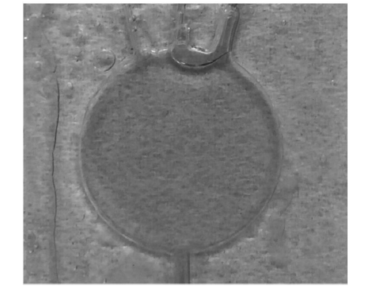 微流控光開(kāi)關(guān)在實(shí)際應用中的效果，包括不同流速下的遮光形態(tài)及透光/遮光對比  - 廣西科毅光通信